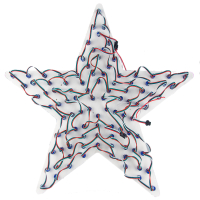 Weihnachtsstern groß (lite)