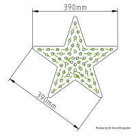 Weihnachtsstern mittel