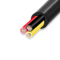 C&acirc;ble de rallonge xConnect&reg; 3 p&ocirc;les